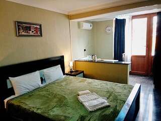 Отель Hotel Aragvi Мцхета Двухместный номер Делюкс с 1 кроватью-1